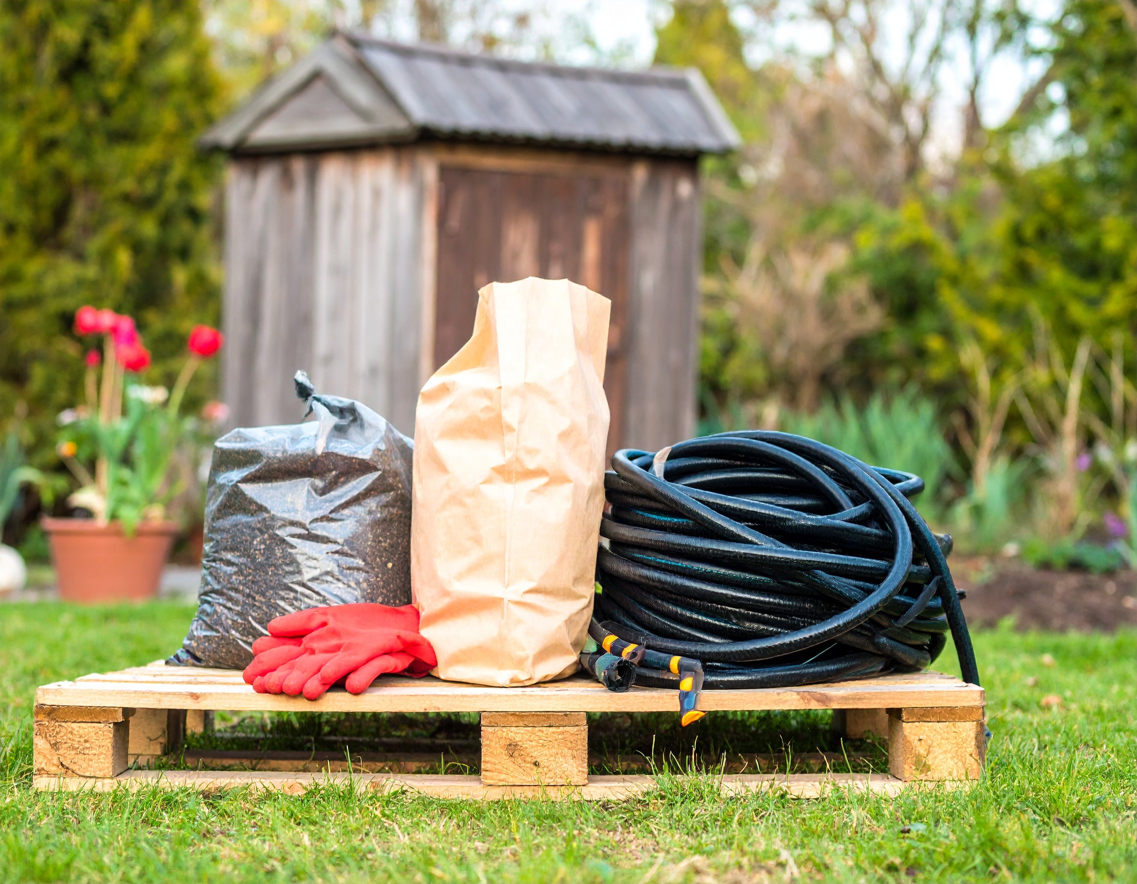 Compost Hedging Hedges Hedges Guarantee Pack – Compost, Bonemeal & Irrigation Kit ...